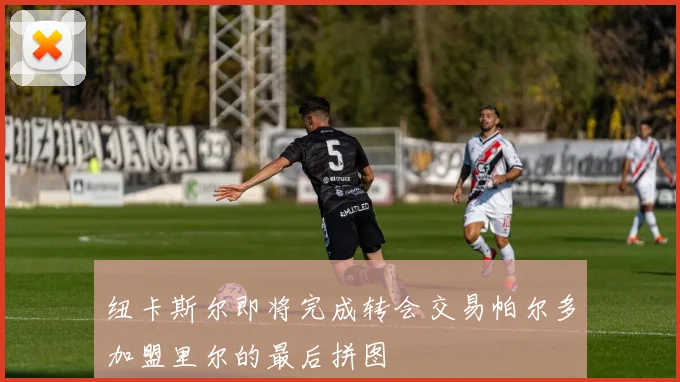 纽卡斯尔即将完成转会交易帕尔多加盟里尔的最后拼图