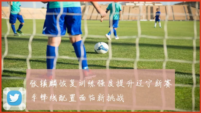 张镇麟恢复训练强度提升辽宁新赛季锋线配置面临新挑战